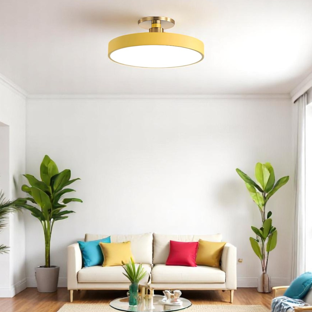#color_yellow