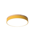 Le Halo Élégant